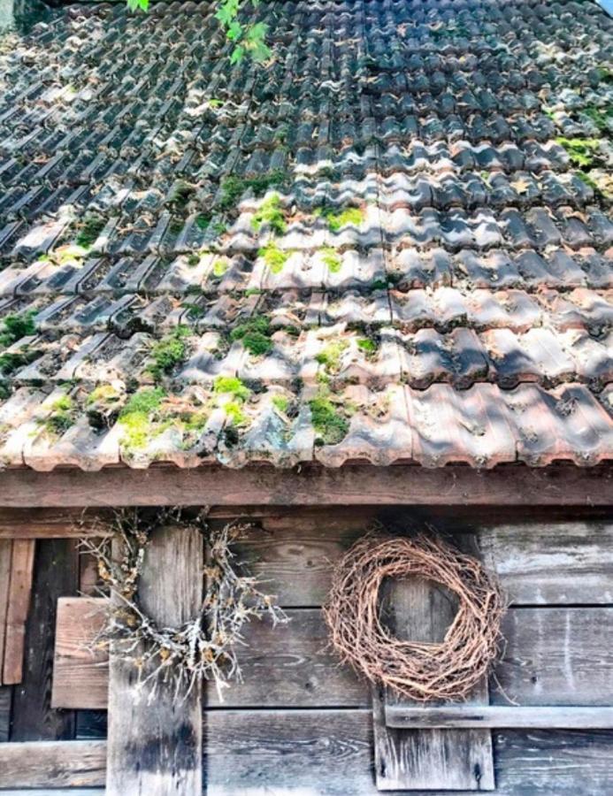 Gasthaus Birke Ξενοδοχείο Kirchzarten Εξωτερικό φωτογραφία